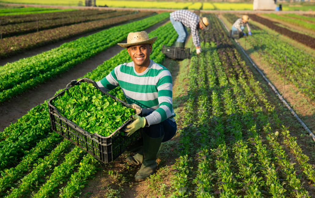 Western Growers Supply Chain Risk Management Food Safety