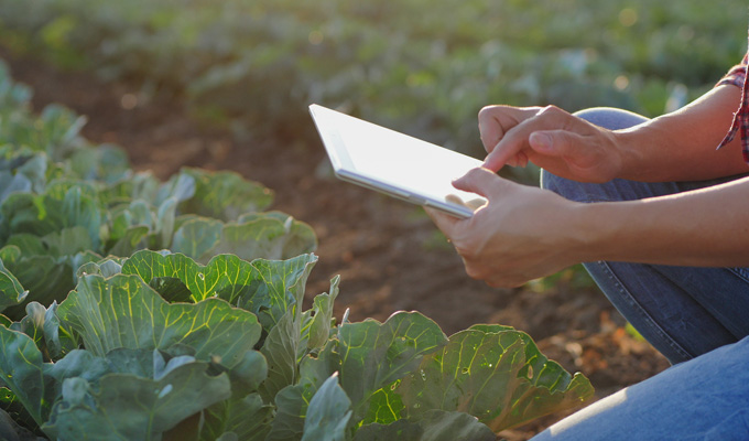 growing harvesting digital food safety