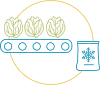 food safety quality solutions ifoodds