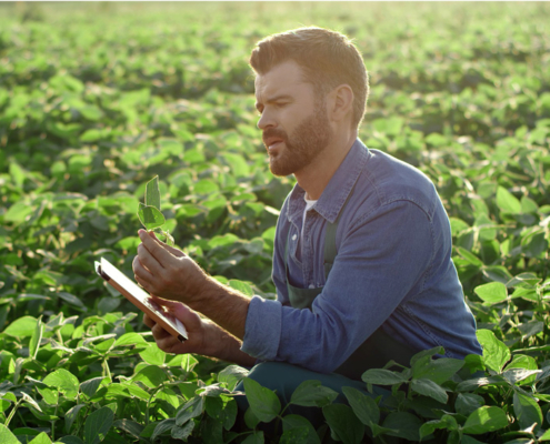 digital food safety program