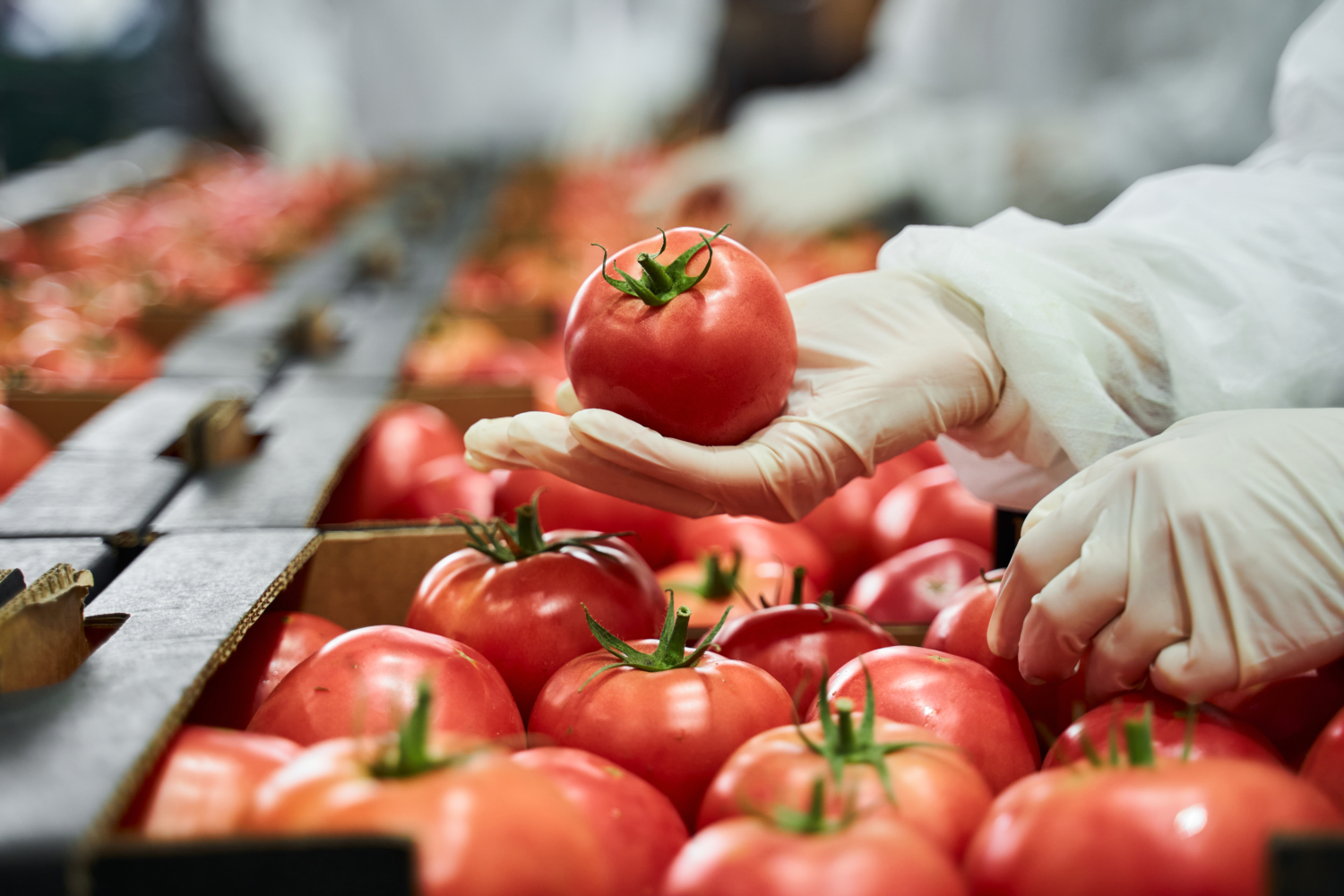 Top News In The Produce Industry and the Food Supply Chain
