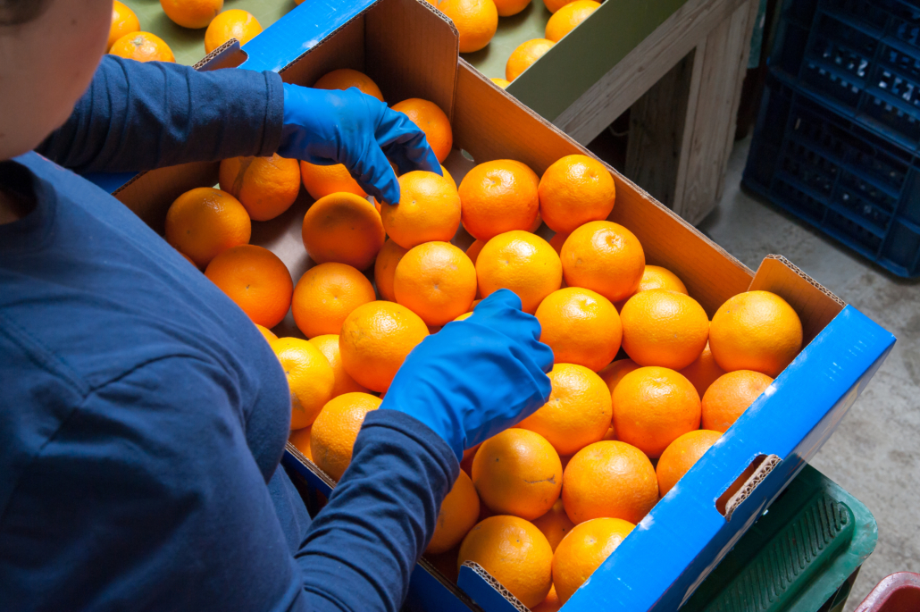 food safety quality traceability produce
