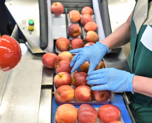 Top news in the produce industry