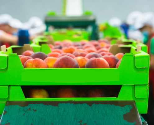 Top news in the produce industry