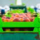 Top news in the produce industry