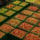 Crates of apples wait to be shipped to a grocery store from a distribution center