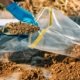 A scientist collects a soil sample to test for Listeria