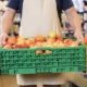 A grocery retail employee carries a crate of apples to the produce department