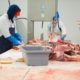 Meat processing facility employees