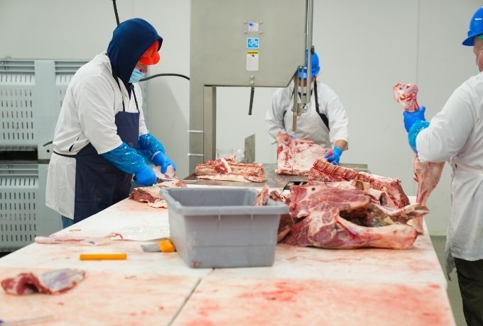 Meat processing facility employees