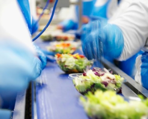 Creating salad in a processing facility