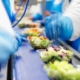 Creating salad in a processing facility