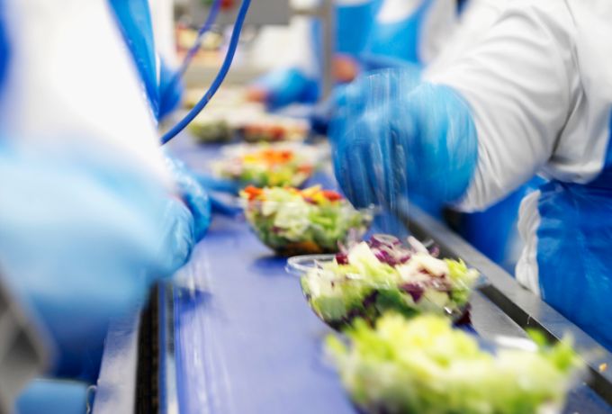 Creating salad in a processing facility