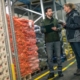 Two inspectors discuss a quality inspection in a distribution center