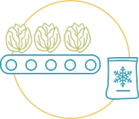 food safety quality solutions ifoodds