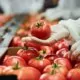 food safety traceability quality produce industry news