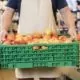 A grocery retail employee carries a crate of apples to the produce department