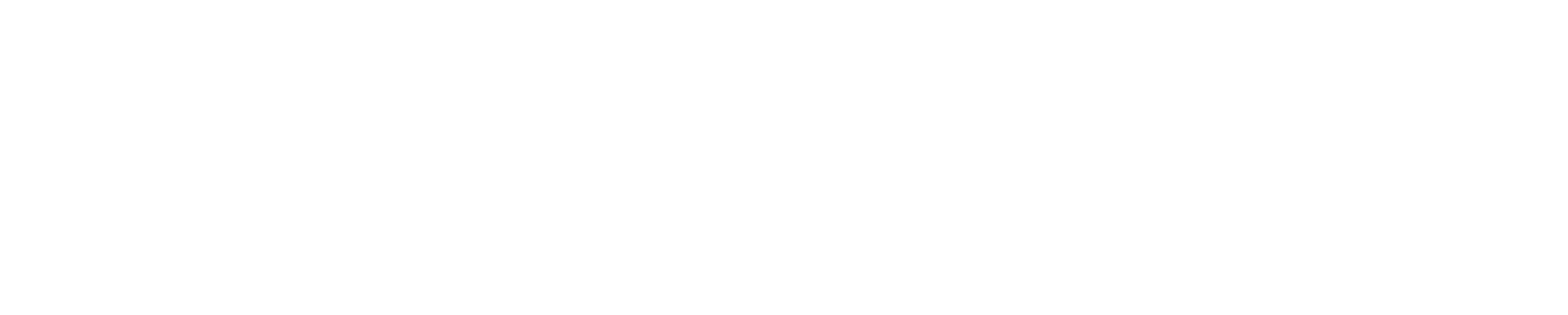 Website Logo - Footer
