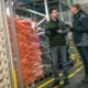 Two inspectors discuss a quality inspection in a distribution center